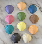 Scallop Shell Soap Set | Pack of 3 Handcrafted Bars | SLS Free | Choose Your Scent | Natural Bar Soap