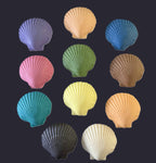 Scallop Shell Soap Set | Pack of 3 Handcrafted Bars | SLS Free | Choose Your Scent | Natural Bar Soap
