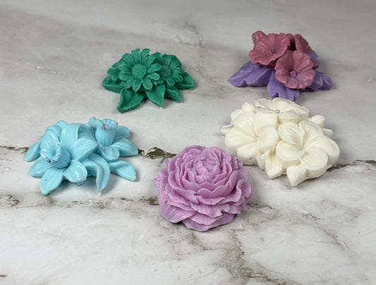 Succulent Mini 5 Pack