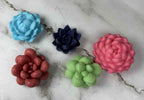Succulent & Floral Soap Gift Set – 5 Pack of Handmade Bar Soaps | Veteran-Owned, Made in Florida