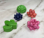 Succulent & Floral Soap Gift Set – 5 Pack of Handmade Bar Soaps | Veteran-Owned, Made in Florida