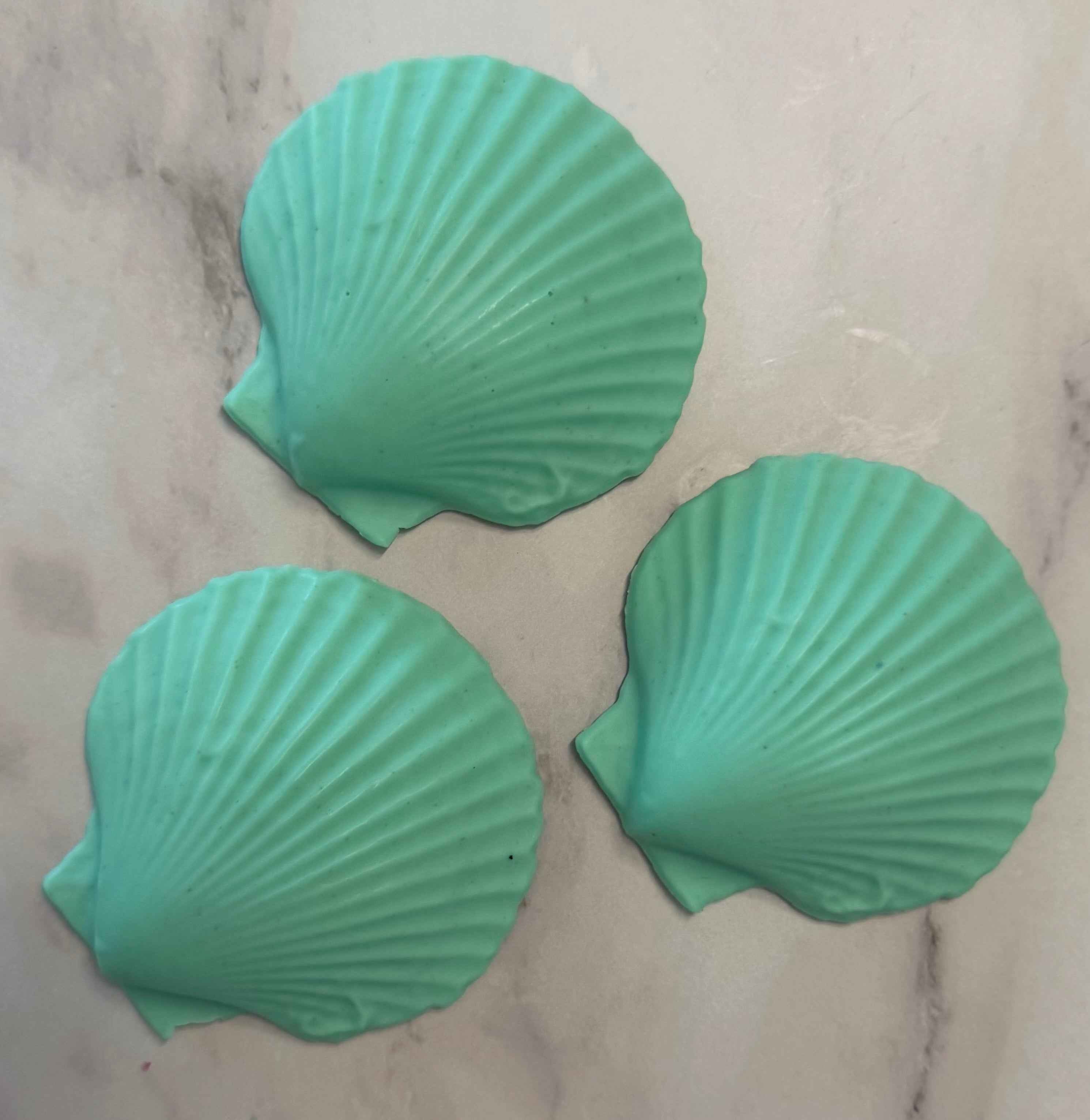 Scallop Shell Soap Set | Pack of 3 Handcrafted Bars | SLS Free | Choose Your Scent | Natural Bar Soap