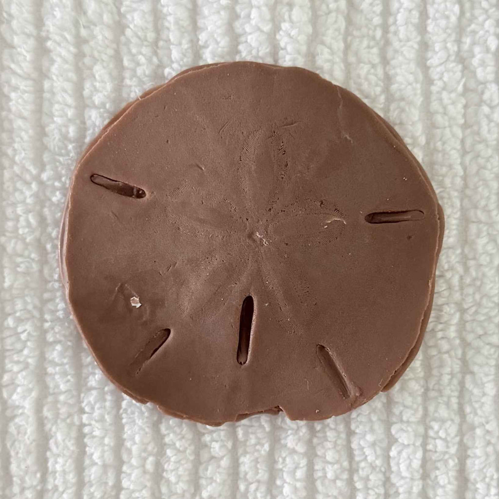 Coastal Calm Sand Dollar Collection Set of 2 Soap Bars