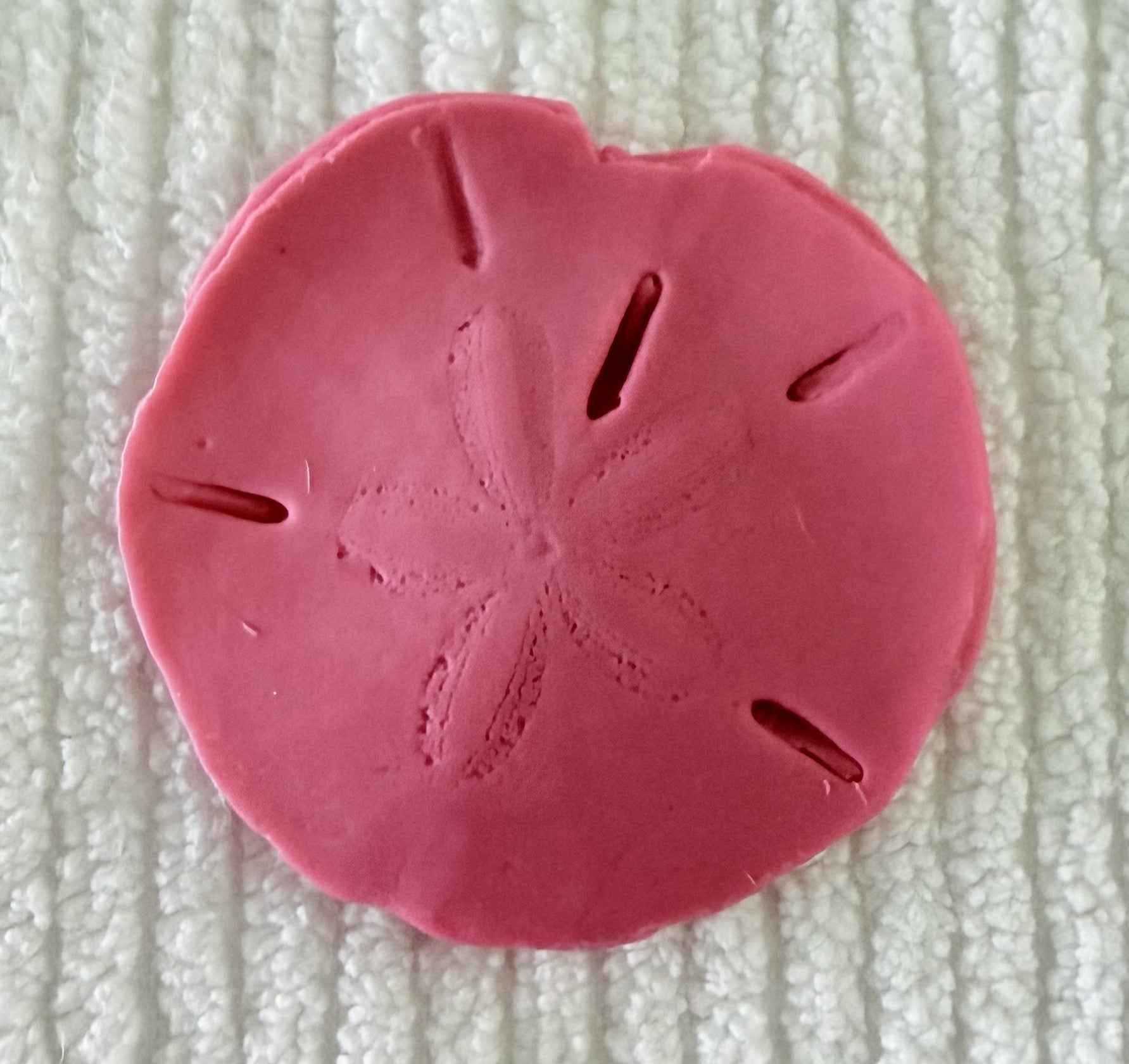 Coastal Calm Sand Dollar Collection Set of 2 Soap Bars