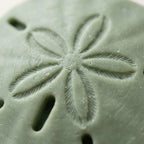 Sand Dollar Soap Set of 2 – Handmade, SLS-Free