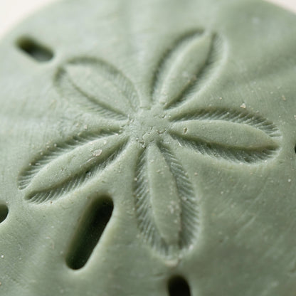 Sand Dollar Soap Set of 2 – Handmade, SLS-Free