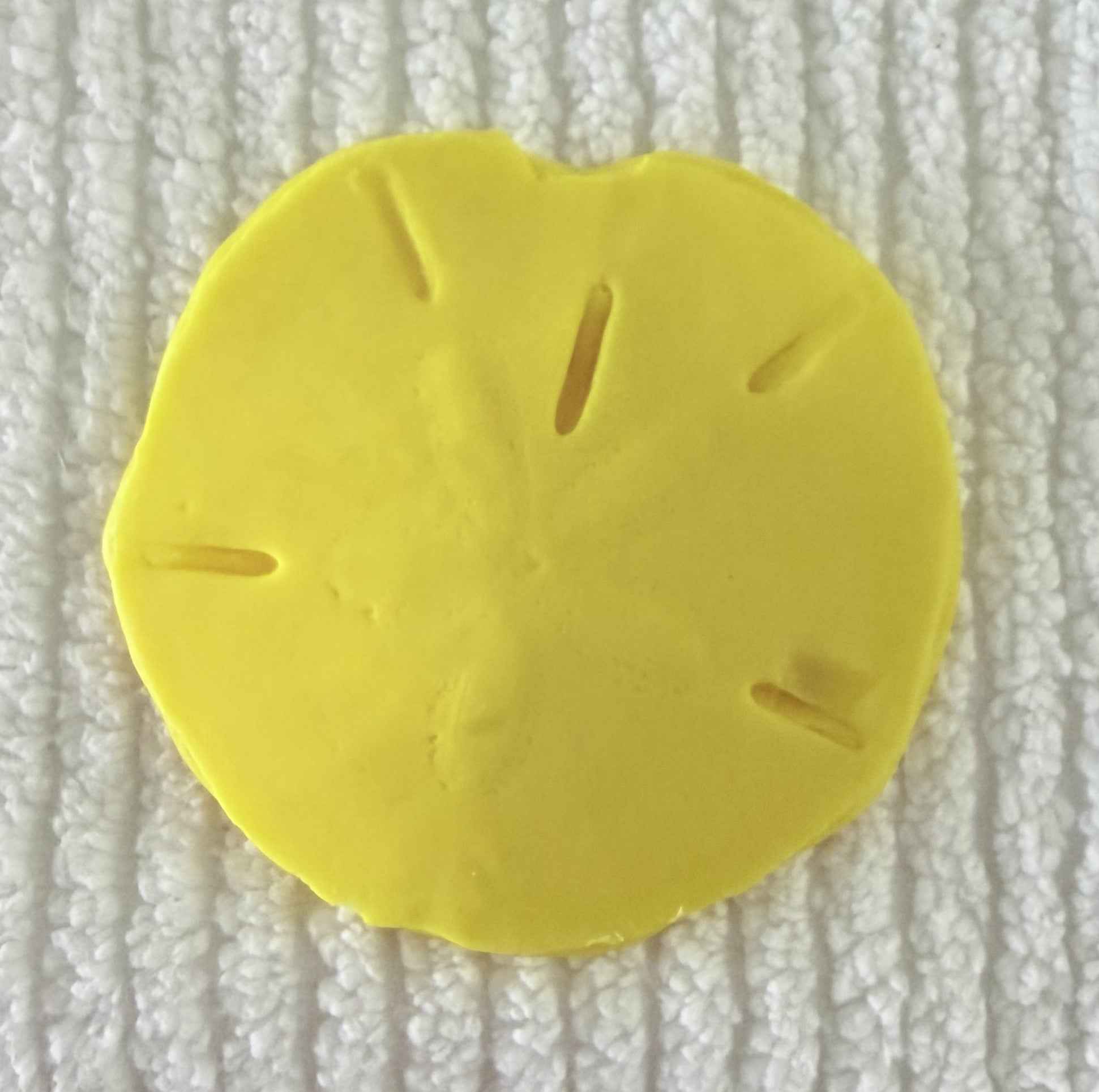 Coastal Calm Sand Dollar Collection Set of 2 Soap Bars