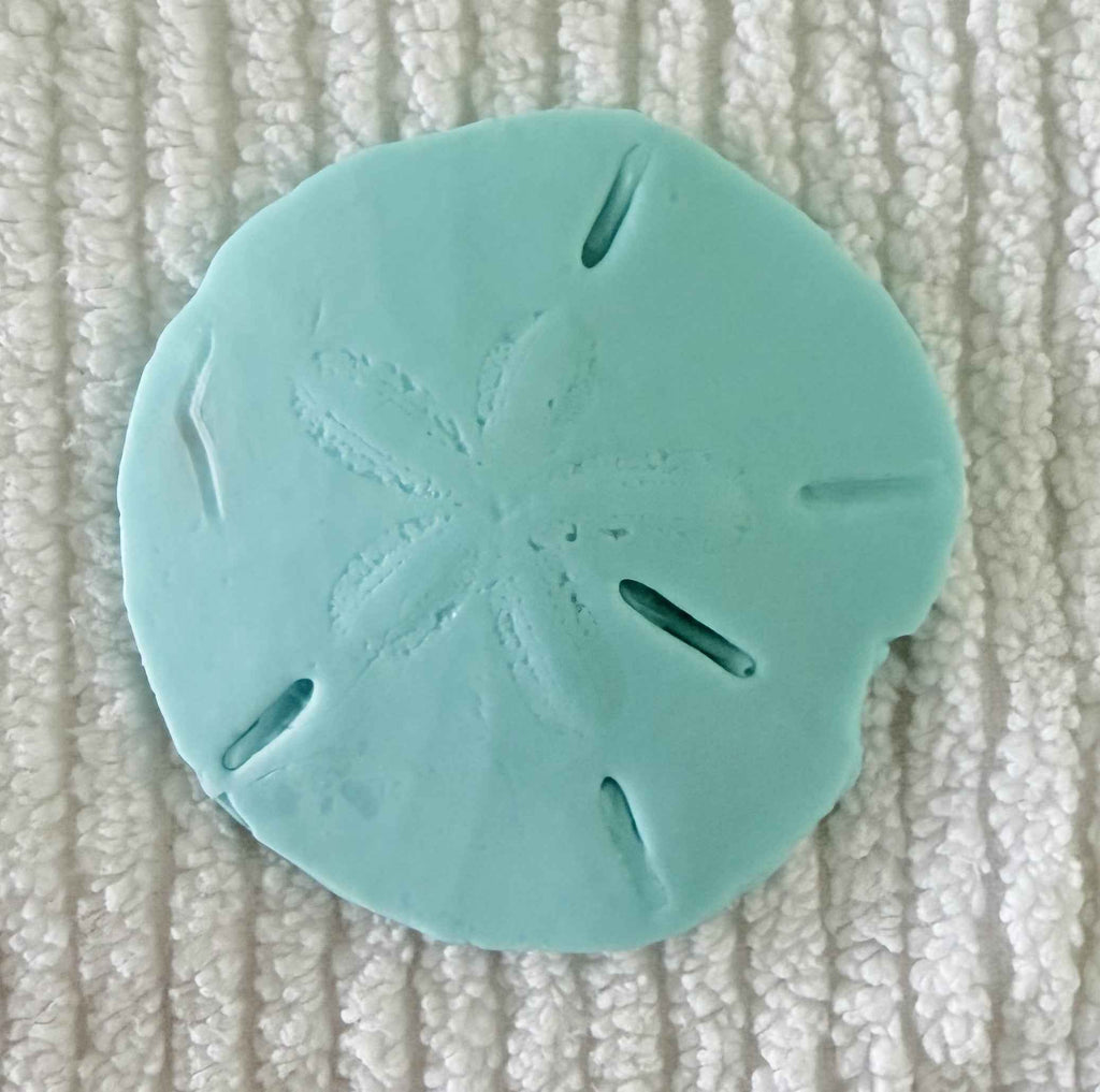 Coastal Calm Sand Dollar Collection Set of 2 Soap Bars