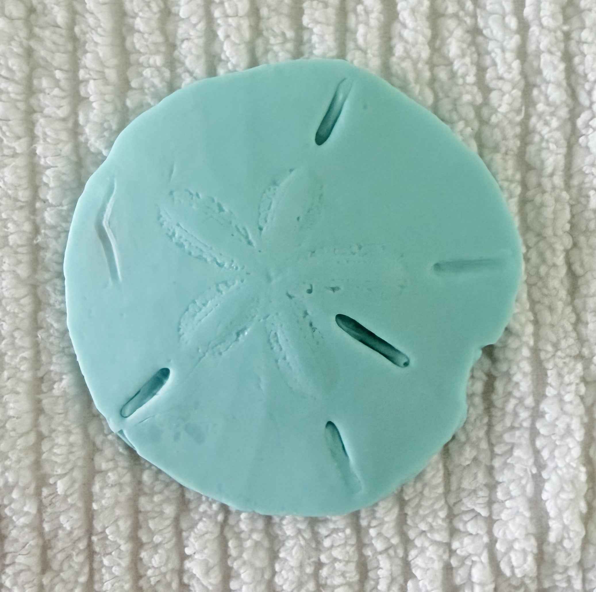 Coastal Calm Sand Dollar Collection Set of 2 Soap Bars