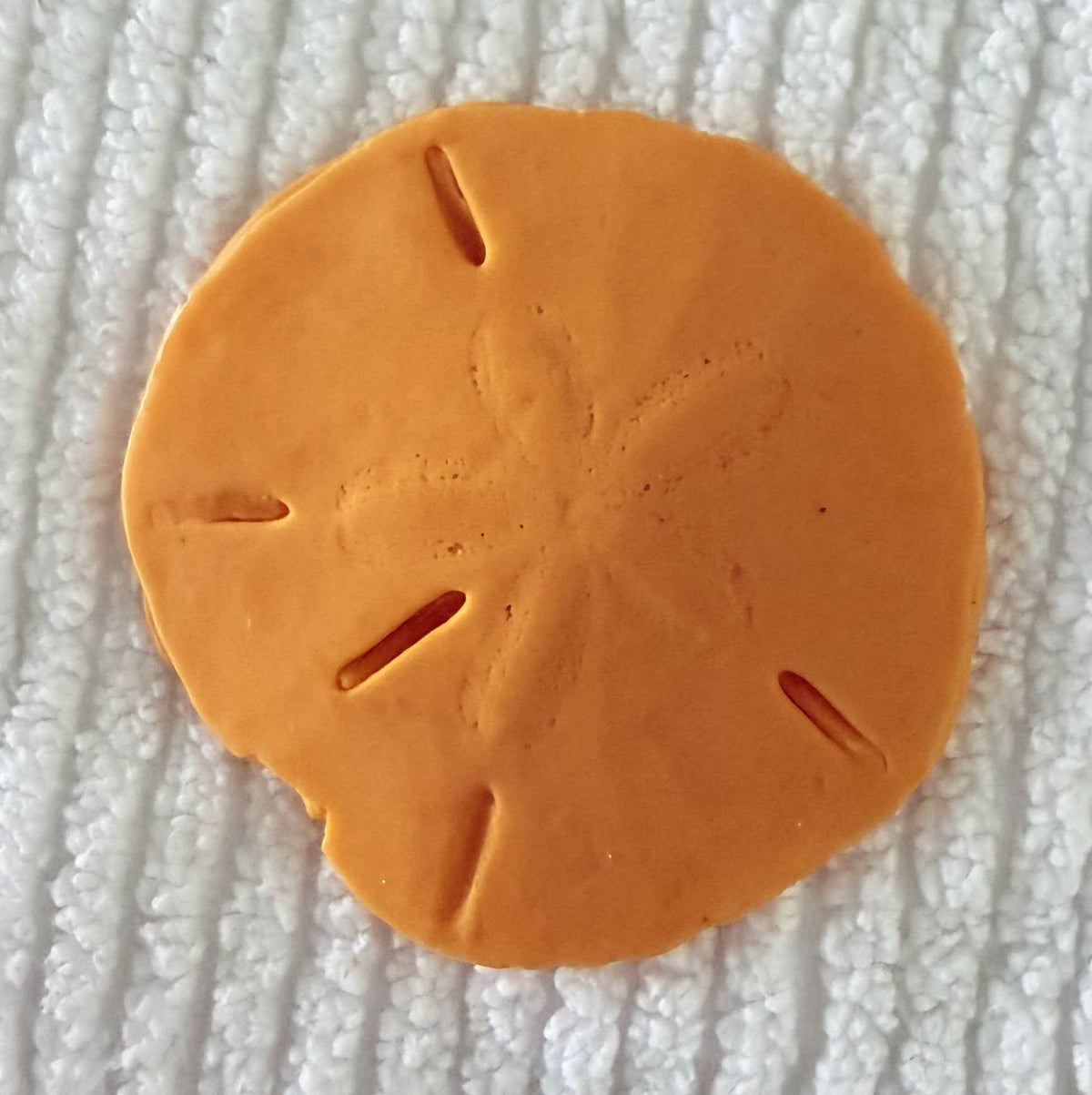 Coastal Calm Sand Dollar Collection Set of 2 Soap Bars