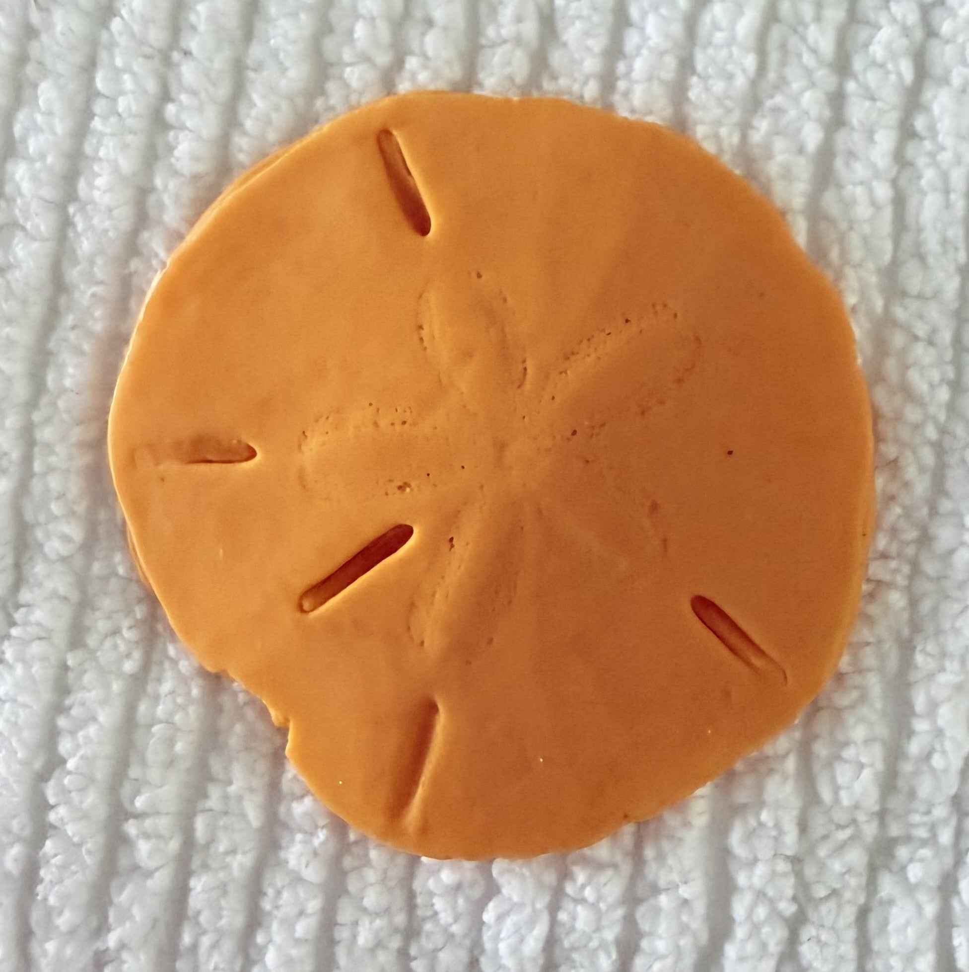 Coastal Calm Sand Dollar Collection Set of 2 Soap Bars