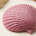 Scallop Shell Soap Sampler – SLS-Free Mini Bars
