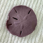Coastal Calm Sand Dollar Collection Set of 2 Soap Bars