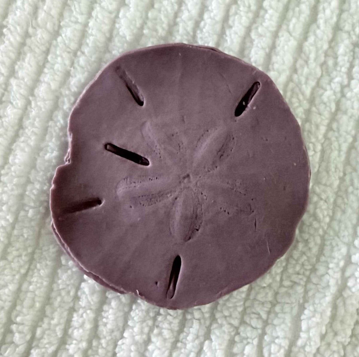 Coastal Calm Sand Dollar Collection Set of 2 Soap Bars
