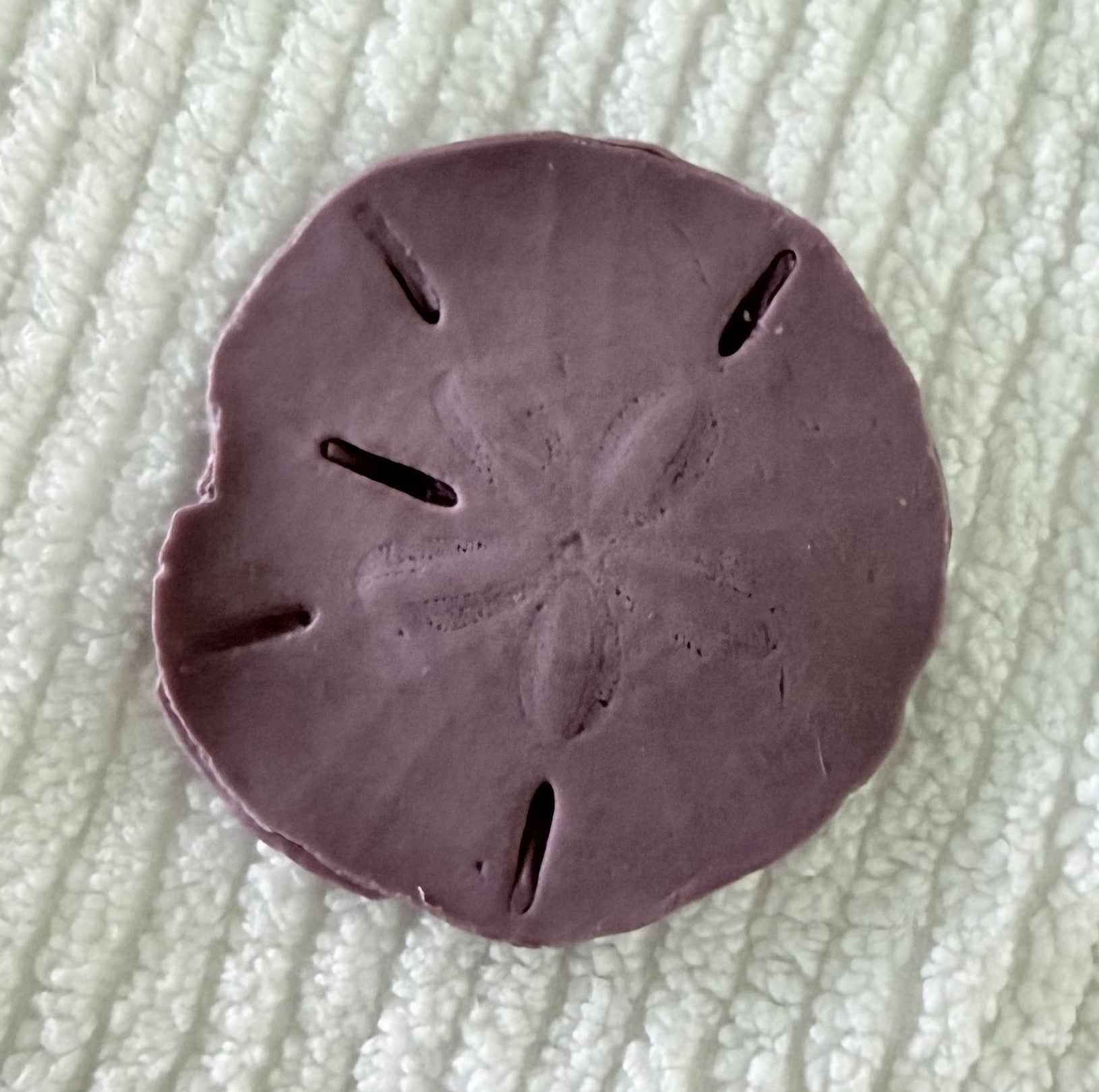 Coastal Calm Sand Dollar Collection Set of 2 Soap Bars