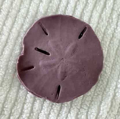 Coastal Calm Sand Dollar Collection Set of 2 Soap Bars