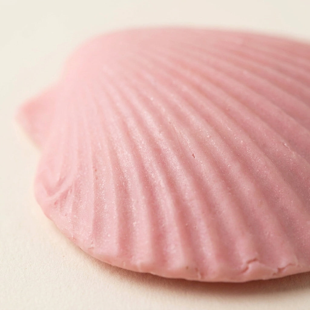 Scallop Shell Soap Set of 3 – SLS-Free, Your Scent