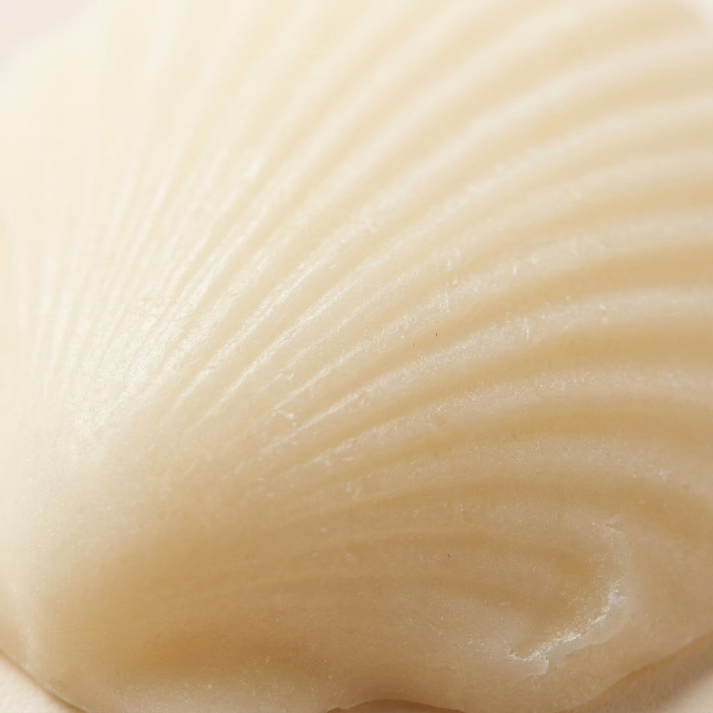 Shell Soap Set of 5 – Handmade, Gift-Ready