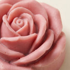 Succulent & Floral Soap Set – 5 Handmade Bars