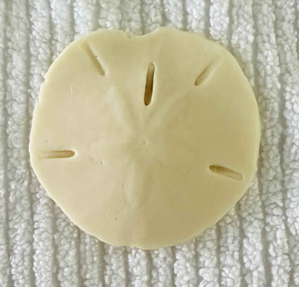 Coastal Calm Sand Dollar Collection Set of 2 Soap Bars