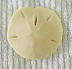 Coastal Calm Sand Dollar Collection Set of 2 Soap Bars