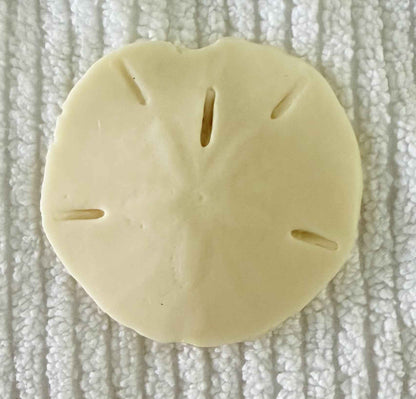 Coastal Calm Sand Dollar Collection Set of 2 Soap Bars